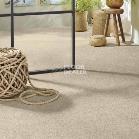Vorwerk Superior 1065/Viola Vorwerk 8h52 фото 2 | FLOORDEALER