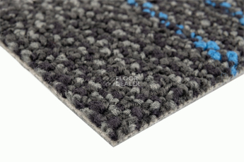 City 2009-09 + Sapphire фото 4 | FLOORDEALER