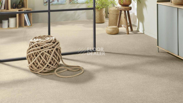 Vorwerk Superior 1065/Viola Vorwerk 8h52 фото 2 | FLOORDEALER