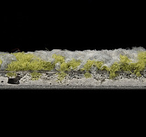 ColorKey ColorKey c 02 фото 3 | FLOORDEALER