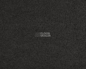 Ковролин Lano Incasa 810 Charcoal фото 1 | FLOORDEALER