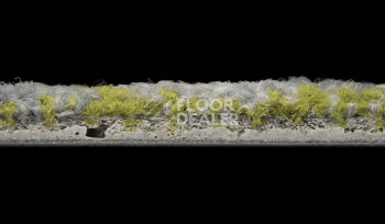 InnovFlor ColorKey ColorKey c 02 фото 3 | FLOORDEALER