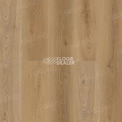 Кварцвиниловые полы Norland Sigrid  LVT 2мм Mirto 1003-19 фото 1 | FLOORDEALER