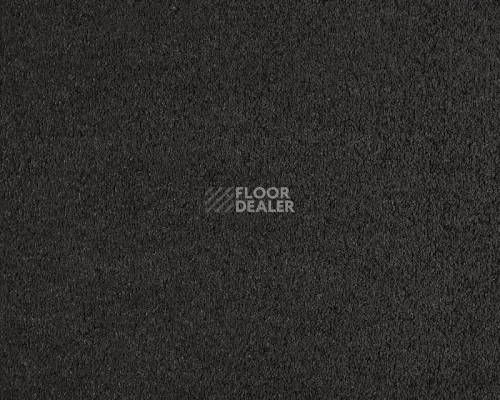 Ковролин Lano Incasa 810 Charcoal фото 1 | FLOORDEALER