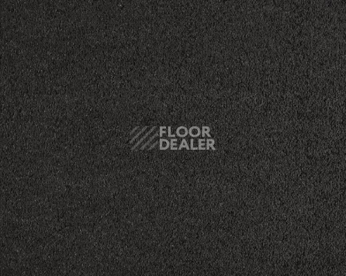 Ковролин Lano Incasa 810 Charcoal фото 1 | FLOORDEALER