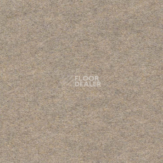 Ковролин Finett Feinwerk 403512 фото 1 | FLOORDEALER
