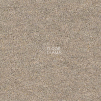Ковролин Finett Feinwerk 403512 фото 1 | FLOORDEALER