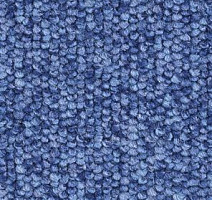 Ковролин Balsan Centaure 2000 Centaure 160 фото 1 | FLOORDEALER