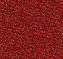 Desso Champion 4218 фото 1 | FLOORDEALER