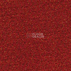 Ковролин Desso Champion 4218 фото 1 | FLOORDEALER
