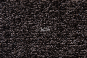 Balsan Serenite 790 фото 2 | FLOORDEALER