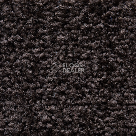 Balsan Serenite 790 фото 2 | FLOORDEALER