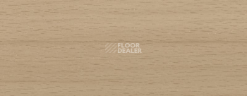 Плинтус Dollken EP 60/13 2411 фото 2 | FLOORDEALER