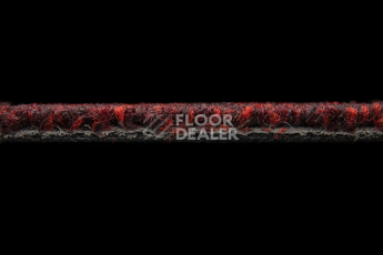 Balsan Season - Summer / Winter 590 фото 3 | FLOORDEALER