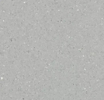 Линолеум Forbo Sphera Elite 50481 seiryu фото 1 | FLOORDEALER