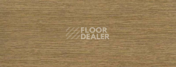 Плинтус Dollken EP 60/13 2987 фото 2 | FLOORDEALER