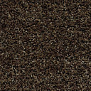 Грязезащитные покрытия Forbo Coral Brush 5774 Biscotti Brown  | FLOORDEALER