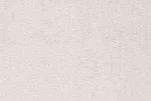 Ковролин Balta ITC Prominent 31 фото  | FLOORDEALER