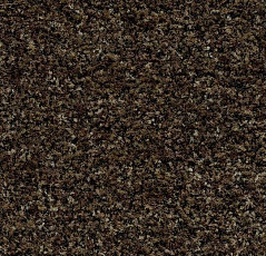 Грязезащитные покрытия Forbo Coral Brush 5774 Biscotti Brown фото 1 | FLOORDEALER