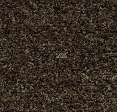 Forbo Coral Brush 5774 Biscotti Brown фото 1 | FLOORDEALER