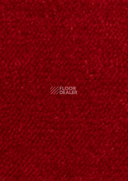 Ковролин AW Masquerade Mezza 10 фото 1 | FLOORDEALER