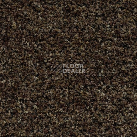 Грязезащитные покрытия Forbo Coral Brush 5774 Biscotti Brown фото 1 | FLOORDEALER