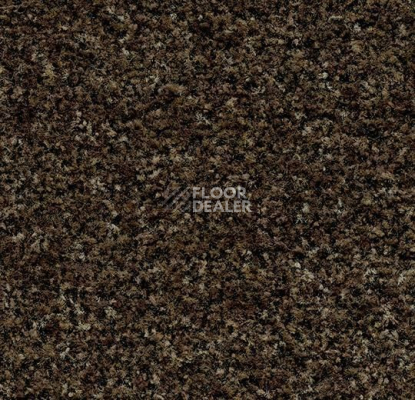 Грязезащитные покрытия Forbo Coral Brush 5774 Biscotti Brown фото 1 | FLOORDEALER