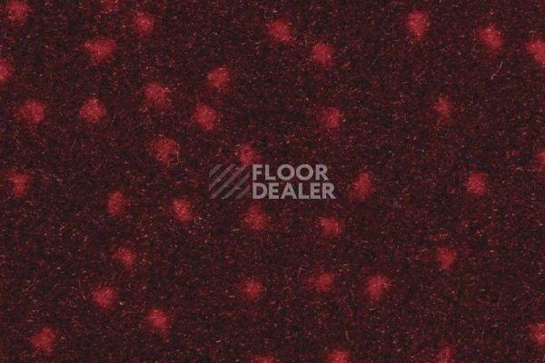 Ковролин Balsan Constellation 570 фото 1 | FLOORDEALER