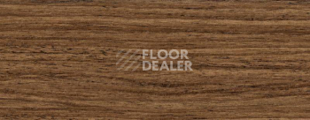 Плинтус Dollken EP 60/13 2568 фото 2 | FLOORDEALER