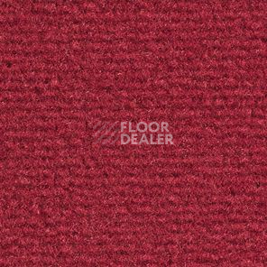 Ковролин Balsan Acadie DD Acadie 575 фото 1 | FLOORDEALER