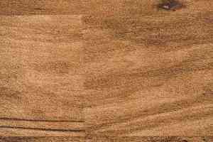 Линолеум Novoflor Standard 4800_4 фото  | FLOORDEALER