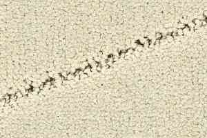 Ковролин Balsan Palace 605 фото  | FLOORDEALER