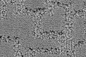 Ковролин Balsan Manoir 920 фото  | FLOORDEALER