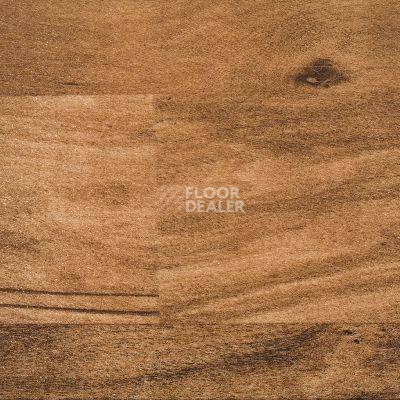 Линолеум Novoflor Standard 4800_4 фото 1 | FLOORDEALER