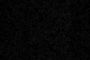 Ковролин Lano Comtessa 800 фото  | FLOORDEALER