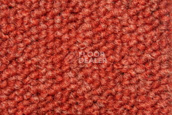 Desso Essence 4413 фото 2 | FLOORDEALER