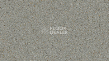 Линолеум Tarkett Craft Gelios 3 фото 1 | FLOORDEALER