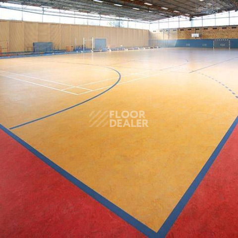 Forbo Marmoleum Sport 83208 фото 2 | FLOORDEALER