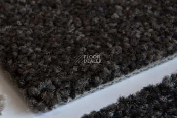 Balsan Serenite 770 фото 2 | FLOORDEALER