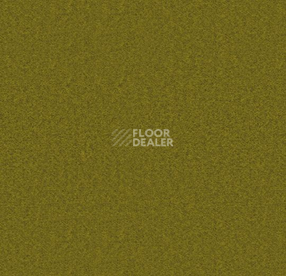 Ковролин Forbo Showtime Nuance 900208 фото 1 | FLOORDEALER