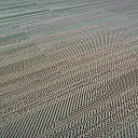 Кварцвиниловые полы Bolon Missoni FLAME PATCH GREEN  | FLOORDEALER