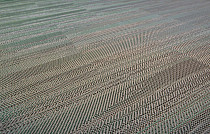 Кварцвиниловые полы Bolon Missoni FLAME PATCH GREEN фото 1 | FLOORDEALER