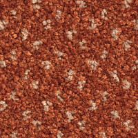 Balsan Capitol Capitol 460 фото 1 | FLOORDEALER