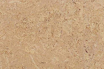 Пробковое покрытие Eco Cork замковое MADEIRA SAND фото 1 | FLOORDEALER