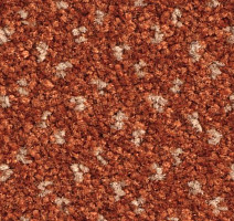 Ковролин Balsan Capitol Capitol 460 фото 1 | FLOORDEALER