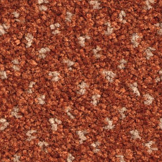 Ковролин Balsan Capitol Capitol 460 фото 1 | FLOORDEALER