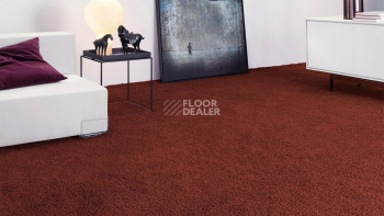 Vorwerk Superior 1041 Vorwerk 1n25 фото 2 | FLOORDEALER
