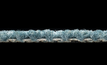 Desso Essence 8012 фото 3 | FLOORDEALER