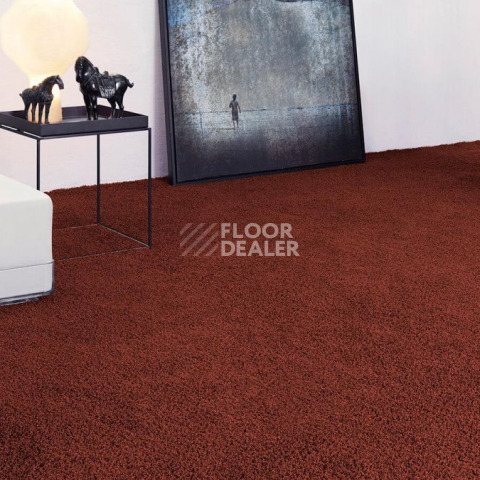 Vorwerk Superior 1041 Vorwerk 1n25 фото 2 | FLOORDEALER