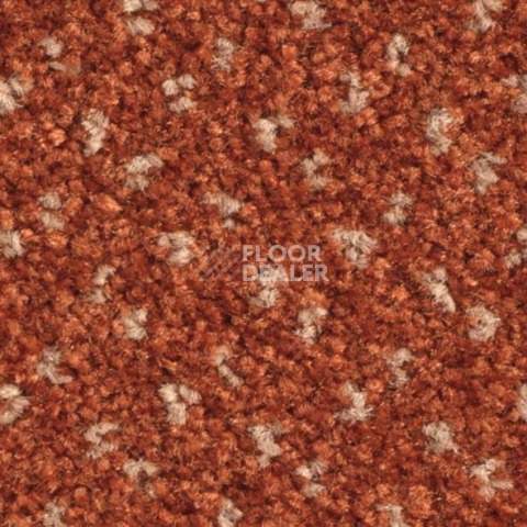 Ковролин Balsan Capitol Capitol 460 фото 1 | FLOORDEALER